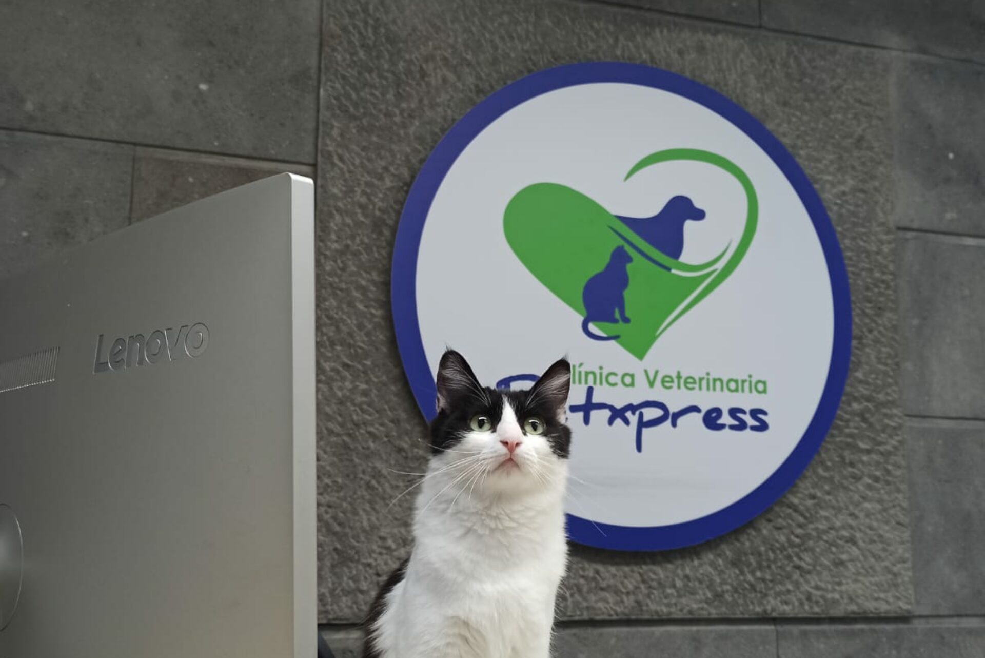 Recepción de Clínica Veterinaria Petxpress en Lomo Blanco, Las Palmas de Gran Canaria